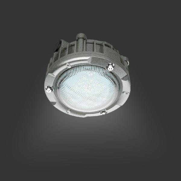 LED EXPLOSION-PROOF LIGHT  D01