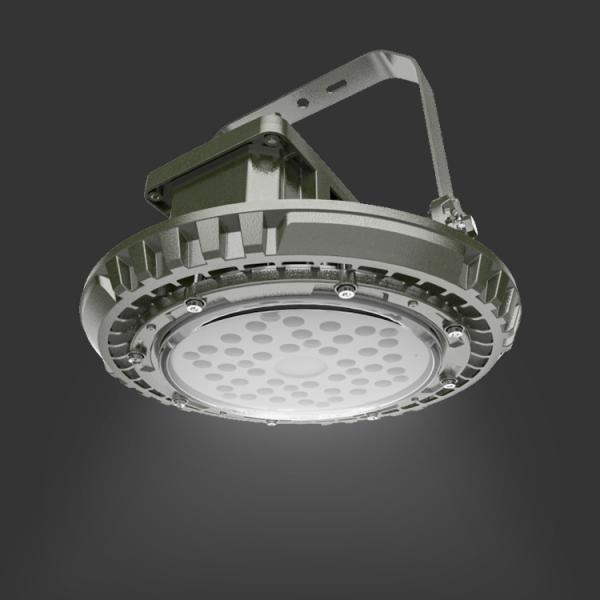 LED EXPLOSION-PROOF LIGHT  D02